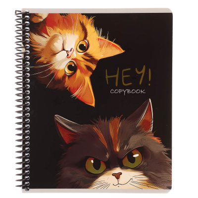 Тетрадь 96 л., А5, в клетку, БЕЛЫЕ ЛИСТЫ, обл.мел. картон, спираль, микс