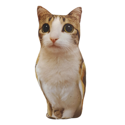 Мягкая игрушка-подушка "Мемчик", полиэстер, 24-30 см, 6 видов