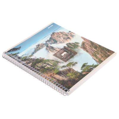 Тетрадь 96 л., А5, в клетку, БЕЛЫЕ ЛИСТЫ, обл.мел. картон, спираль, микс