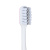 PROWAY Зубная щетка Premium Pearl, средняя жесткость, 1 шт. PROWAY Зубная щетка Premium Pearl, средняя жесткость, 1 шт.