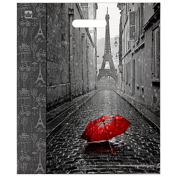 Пакет Мой Париж-пакет вырубной, 45х38см, 60 мкм, ламинат